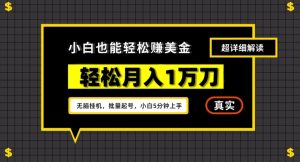 谷歌看广告撸美金2.0,无脑挂机,多号操作,月入1万刀【揭秘】-葛仙仙资源库