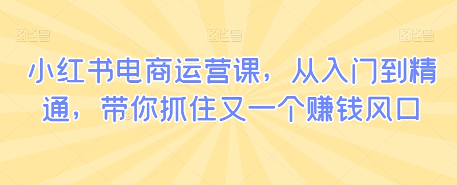 小红书电商运营课，从入门到精通，带你抓住又一个赚钱风口-葛仙仙资源库