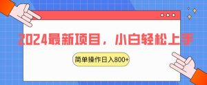 2024最新项目,红娘项目,简单操作轻松日入800+【揭秘】-葛仙仙资源库