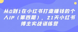 从0到1在小红书打造赚钱的个人IP（第四期），21天小红书博主实战训练营-葛仙仙资源库