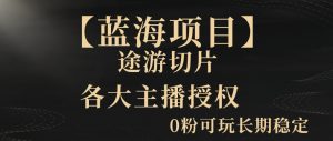 一天收入2000+,最新中视频创新玩法,用AI科技一键改唱影解说刷爆流量收益【揭秘】-葛仙仙资源库