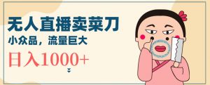 无人冷门品直播新玩法，通过卖菜刀日入1000+【揭秘】-葛仙仙资源库