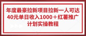 年度最豪拉新项目拉新一人可达40元单日收入1000+红薯推广计划实操教程【揭秘】-葛仙仙资源库