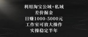 利用淘宝公域+私域差价掘金，日赚1000-5000元，工作室可放大操作，实操稳定半年【揭秘】-葛仙仙资源库