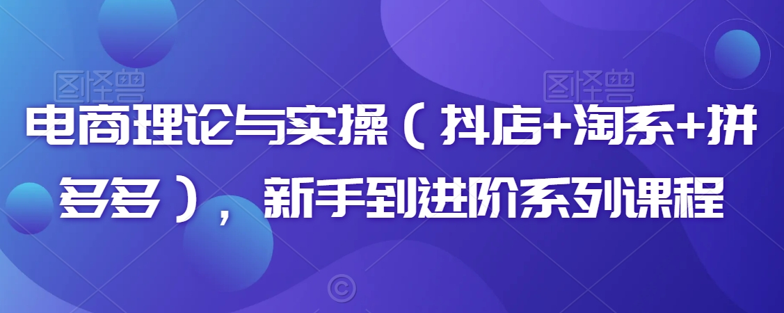 电商理论与实操（抖店+淘系+拼多多），新手到进阶系列课程-葛仙仙资源库