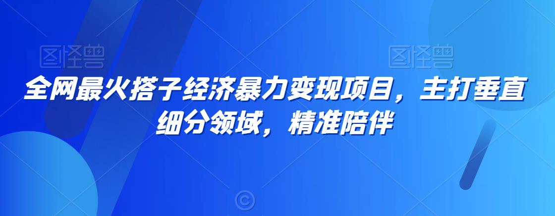 全网最火搭子经济暴力变现项目，主打垂直细分领域，精准陪伴【揭秘】-葛仙仙资源库