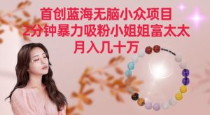 首创蓝海无脑小众项目，2分钟暴力吸粉小姐姐富太太，月入几十万【揭秘】-葛仙仙资源库
