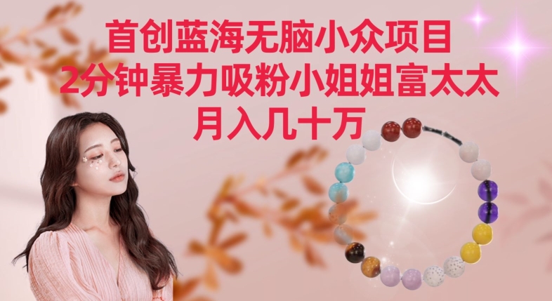 首创蓝海无脑小众项目，2分钟暴力吸粉小姐姐富太太，月入几十万【揭秘】-葛仙仙资源库