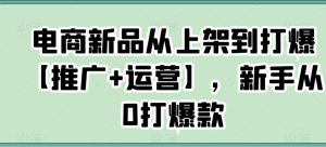 电商新品从上架到打爆【推广+运营】,新手从0打爆款-葛仙仙资源库