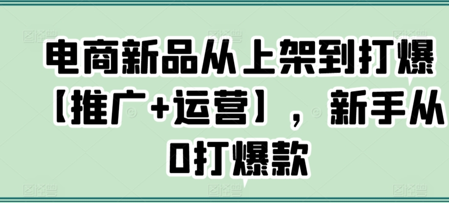 电商新品从上架到打爆【推广+运营】，新手从0打爆款-葛仙仙资源库