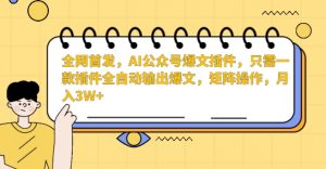 全网首发，AI公众号爆文插件，只需一款插件全自动输出爆文，矩阵操作，月入3W+【揭秘】-葛仙仙资源库