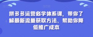 拼多多运营必学体系课,带你了解最新流量获取方法、帮助你降低推广成本-葛仙仙资源库