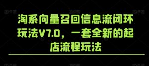 淘系向量召回信息流闭环玩法V7.0，一套全新的起店流程玩法-葛仙仙资源库