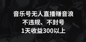 音乐号无人直播赚音浪,不违规、不封号,1天收益300+【揭秘】-葛仙仙资源库
