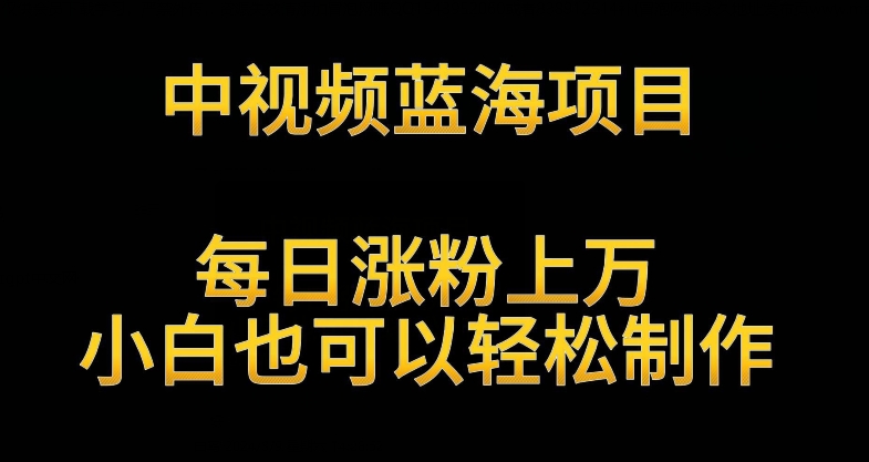 中视频蓝海项目，解读英雄人物生平，每日涨粉上万，小白也可以轻松制作，月入过万不是梦【揭秘】-葛仙仙资源库