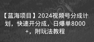 【蓝海项目】2024视频号分成计划，快速开分成，日爆单8000+，附玩法教程-葛仙仙资源库