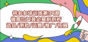 拼多多培训班第34期：做高价女装必盈利剖析选品/测款/运营/推广/拓展-葛仙仙资源库