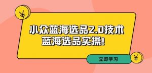 拼多多培训第33期:小众蓝海选品2.0技术-蓝海选品实操!-葛仙仙资源库