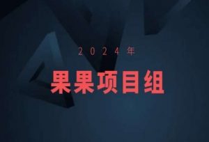 2024年果果项目组项目合集-果果最新项目-葛仙仙资源库