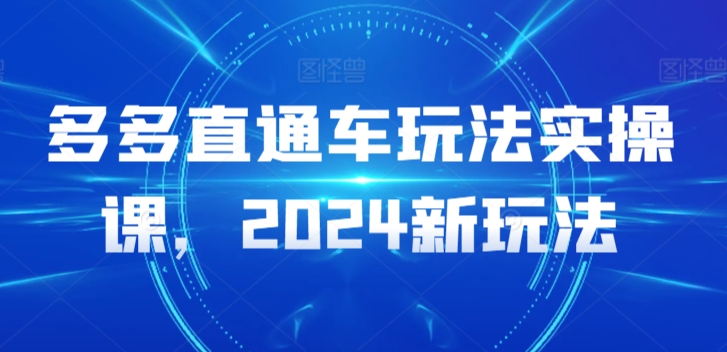多多直通车玩法实操课，2024新玩法-葛仙仙资源库