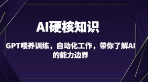 AI硬核知识-GPT喂养训练,自动化工作,带你了解AI的能力边界(10节课)-葛仙仙资源库