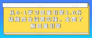 从0-1学习巨量引擎2.0升级版后台设置实操,全面了解巨量引擎-葛仙仙资源库