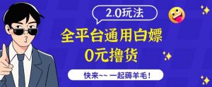 外面收费2980的全平台通用白嫖撸货项目2.0玩法【仅揭秘】-葛仙仙资源库