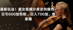 最新玩法！美女视频分屏逆向操作~日引600加色粉，日入700加，条条爆【揭秘】-葛仙仙资源库