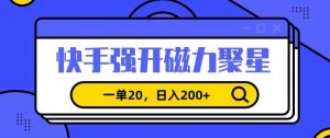信息差赚钱项目,快手强开磁力聚星,一单20,日入200+【揭秘】-葛仙仙资源库