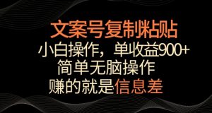 文案号掘金,简单复制粘贴,小白操作,单作品收益900+【揭秘】-葛仙仙资源库