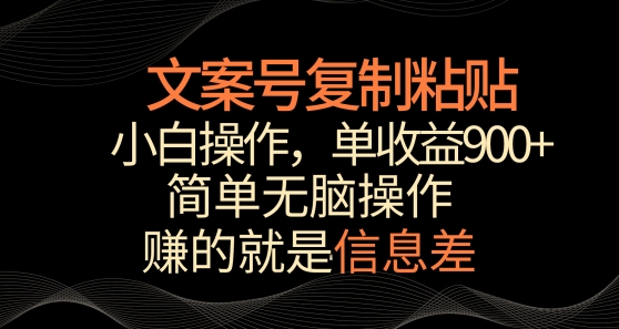 文案号掘金，简单复制粘贴，小白操作，单作品收益900+【揭秘】-葛仙仙资源库