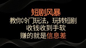 短剧风暴,教你冷门玩法,玩转短剧,收钱收到手软【揭秘】-葛仙仙资源库