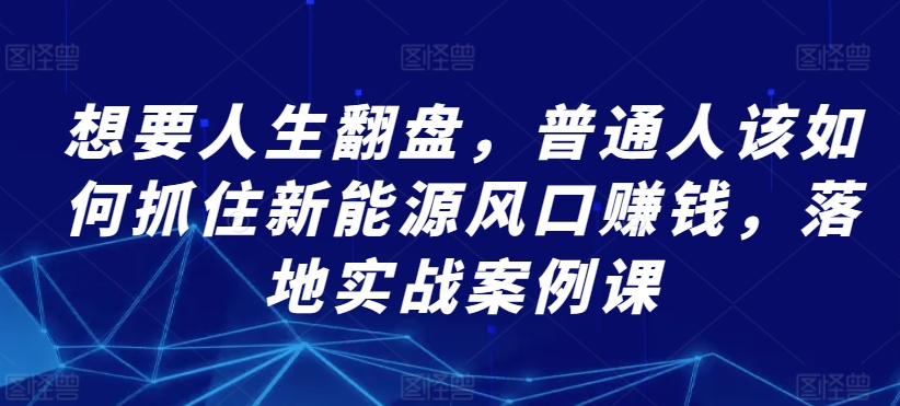 想要人生翻盘，普通人该如何抓住新能源风口赚钱，落地实战案例课-葛仙仙资源库