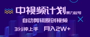 中视频计划暴力起号,自动剪辑原创视频,3分钟上手,月入2W+【揭秘】-葛仙仙资源库