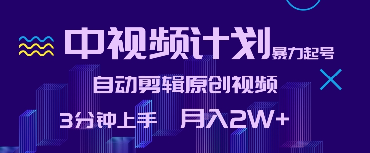 中视频计划暴力起号，自动剪辑原创视频，3分钟上手，月入2W+【揭秘】-葛仙仙资源库