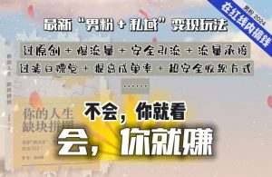 2024,“男粉+私域”还是最耐造、最赚、最轻松、最愉快的变现方式【揭秘】-葛仙仙资源库