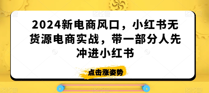 2024新电商风口，小红书无货源电商实战，带一部分人先冲进小红书-葛仙仙资源库