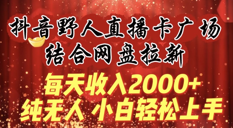 每天收入2000+，抖音野人直播卡广场，结合网盘拉新，纯无人，小白轻松上手【揭秘】-葛仙仙资源库