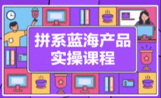 拼系冷门蓝海产品实操课程，从注册店铺到选品上架到流量维护环环相扣-葛仙仙资源库