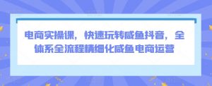 电商实操课,快速玩转咸鱼抖音,全体系全流程精细化咸鱼电商运营-葛仙仙资源库