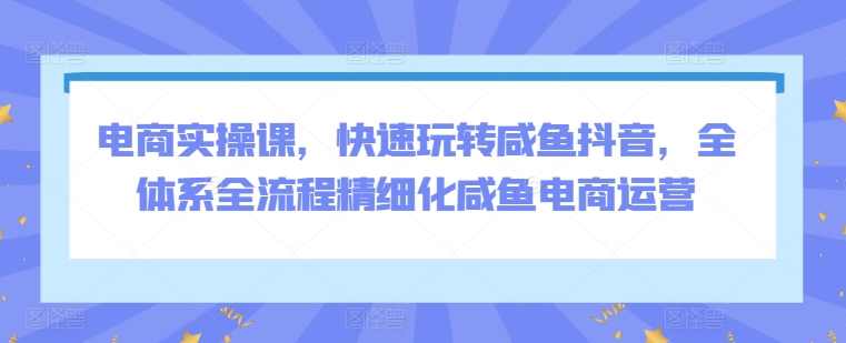 电商实操课，快速玩转咸鱼抖音，全体系全流程精细化咸鱼电商运营-葛仙仙资源库
