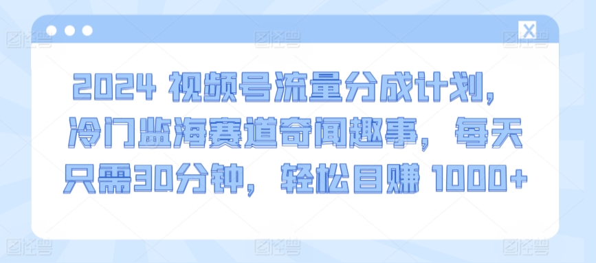 2024视频号流量分成计划，冷门监海赛道奇闻趣事，每天只需30分钟，轻松目赚 1000+【揭秘】-葛仙仙资源库