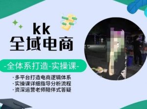 KK全域电商,全体系打造实操课,多平台打造电商逻辑体系-葛仙仙资源库