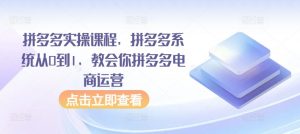 拼多多实操课程,拼多多系统从0到1,教会你拼多多电商运营-葛仙仙资源库