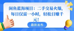 闲鱼蓝海项目:二手交易火爆,每日仅需一小时,轻松日赚千元【揭秘】-葛仙仙资源库
