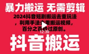2024最新抖音搬运技术,抖音短剧视频去重,手法搬运,利用工具去重,达到秒过原创的效果【揭秘】-葛仙仙资源库
