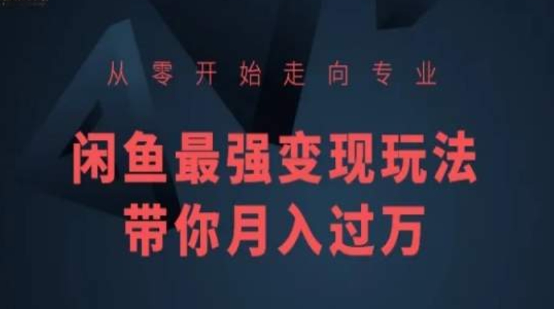 从零开始走向专业，闲鱼最强变现玩法带你月入过万-葛仙仙资源库