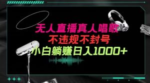 抖音24小时无人直播音乐,不违规,不封号纯撸音浪,小白实操当天日入1000+【揭秘】-葛仙仙资源库