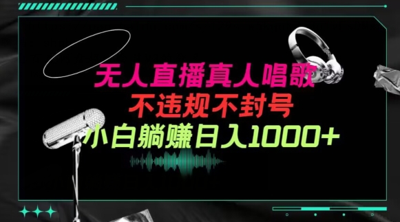抖音24小时无人直播音乐，不违规，不封号纯撸音浪，小白实操当天日入1000+【揭秘】-葛仙仙资源库