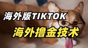 抖音海外版tiktok撸金技术，这个风口行业，赚钱真的不难【揭秘】-葛仙仙资源库